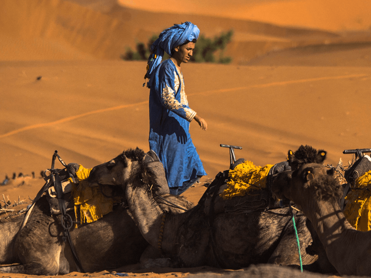 Merzouga Paseo en camello hasta el campamento