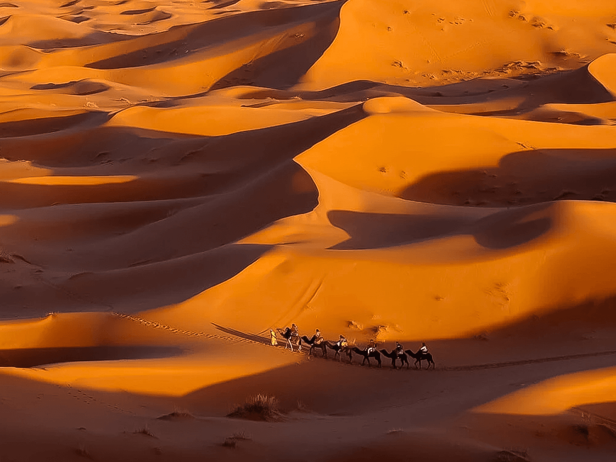Merzouga a Fez - Un tapiz de cultura e historia